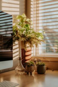 resized_102445